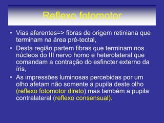 Reflexo fotomotor 
•Vias aferentes=> fibras de origem retiniana que terminam na área pré-tectal, 
•Desta região partem fibras que terminam nos núcleos do III nervo homo e heterolateral que comandam a contração do esfincter externo da íris, 
•As impressões luminosas percebidas por um olho afetam não somente a pupila deste olho (reflexo fotomotor direto) mas também a pupila contralateral (reflexo consensual).  
