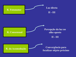 R. Fotomotor 
R. Consensual 
R. da Acomodação 
Luz direta 
II - III 
Percepção da luz no olho oposto 
II - III 
Convergência para focalizar objeto próximo  