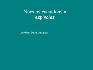 Nervios raquídeos o
espinales
Lic.Robert David MacQuaid
 