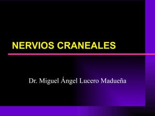 NERVIOS CRANEALES Dr. Miguel Ángel Lucero Madueña 