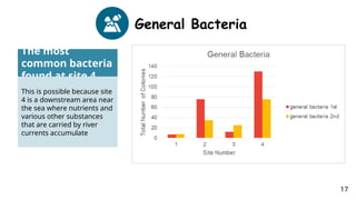 General Bacteria
The most
common bacteria
found at site 4
This is possible because site
4 is a downstream area near
the sea where nutrients and
various other substances
that are carried by river
currents accumulate
17
 