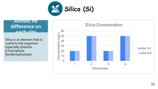 Silica (Si)
Almost no
difference on
each site
Silica is an element that is
useful to the organism
especially Diatoms
(Chrysophyta
Bacillariophyceae)
23
 