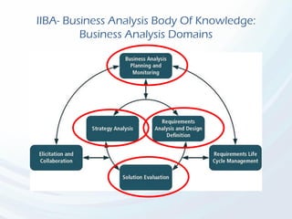 IIBA- Business Analysis Body Of Knowledge:
Business Analysis Domains
 