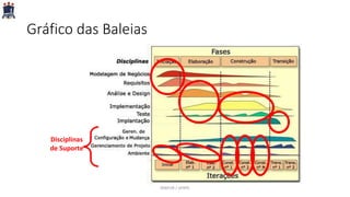 Gráfico das Baleias
Disciplinas
de Suporte
PARFOR / UFRPE
 