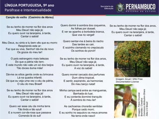 LÍNGUA PORTUGUESA, 9º ano
Paráfrase e Intertextualidade
Canção do exílio (Casimiro de Abreu)
Se eu tenho de morrer na flor dos anos
Meu Deus! não seja já;
Eu quero ouvir na laranjeira, à tarde,
Cantar o sabiá!
Meu Deus, eu sinto e tu bem vês que eu morro
Respirando este ar;
Faz que eu viva, Senhor! dá-me de novo
Os gozos do meu lar!
O país estrangeiro mais belezas
Do que a pátria não tem;
E este mundo não vale um só dos beijos
Tão doces duma mãe!
Dá-me os sítios gentis onde eu brincava
Lá na quadra infantil;
Dá que eu veja uma vez o céu da pátria,
O céu do meu Brasil!
Se eu tenho de morrer na flor dos anos
Meu Deus! não seja já!
Eu quero ouvir na laranjeira, à tarde,
Cantar o sabiá!
Quero ver esse céu da minha terra
Tão lindo e tão azul!
E a nuvem cor-de-rosa que passava
Correndo lá do sul!
Quero dormir à sombra dos coqueiros,
As folhas por dossel;
E ver se apanho a borboleta branca,
Que voa no vergel!
Quero sentar-me à beira do riacho
Das tardes ao cair,
E sozinho cismando no crepúsculo
Os sonhos do porvir!
Se eu tenho de morrer na flor dos anos,
Meu Deus! não seja já;
Eu quero ouvir na laranjeira, à tarde,
A voz do sabiá!
Quero morrer cercado dos perfumes
Dum clima tropical,
E sentir, expirando, as harmonias
Do meu berço natal!
Minha campa será entre as mangueiras,
Banhada do luar,
E eu contente dormirei tranquilo
À sombra do meu lar!
As cachoeiras chorarão sentidas
Porque cedo morri,
E eu sonho no sepulcro os meus amores
Na terra onde nasci!
Se eu tenho de morrer na flor dos anos,
Meu Deus! não seja já;
Eu quero ouvir na laranjeira, à tarde,
Cantar o sabiá!
Imagem: Anual / GNU Free
Documentation License
Imagem:
Flávio
Cruvinel
Brandão
/
Creative
Commons
Attribution-Share
Alike
2.0
Brazil
 