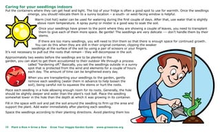Caring for your seedlings indoors
Put the containers where they can get heat and light. The top of your fridge is often a good spot to use for warmth. Once the seedlings
               emerge, you should relocate them to a sunny location – a south- or west-facing window is helpful.
                    Warm (not hot) water can be used for watering during the first couple of days. After that, use water that is slightly
                     above room temperature. A spray pump or mister is a good way to soak the soil.
                       Once your seedlings have grown to the point where they are showing a couple of leaves, you need to transplant
                       them to give each of them more space. Be gentle! The seedlings are very delicate --- don’t handle them by their
                       stems.
                       If there are too many seedlings, you will need to thin them so that there is enough space for continued growth.
                     You can do this when they are still in their original container, clipping the weaker
                  seedlings at the surface of the soil by using a pair of scissors or your fingers.
It’s not necessary to pull out the roots that remain - they will decompose in the soil.
Approximately two weeks before the seedlings are to be planted in the
garden, you can start to get them accustomed to their outdoor life through a process
              called “hardening off.” Basically, you set the seedlings outside in a sunny
              spot that is protected from the wind and elements for a couple of hours
              each day. The amount of time can be lengthened every day.

                When you are transplanting your seedlings to the garden, gently
                remove each seedling (water them in advance to help loosen the
                soil), being careful not to squeeze the stems or hurt the roots.
Place each seedling in a hole allowing enough room for its roots. Generally, the hole
should be slightly deeper and wider than the plant’s root ball. Place the seedling
somewhat lower in the hole than the depth at which it was growing in its container.

Fill in the space with soil and pat the soil around the seedling to firm up the area and
support the plant. Add water immediately after planting each seedling.
Space the seedlings according to their planting directions. Avoid planting them too



10   Plant a Row • Grow a Row   Grow Your Veggie Garden Guide   www.growarow.org
 