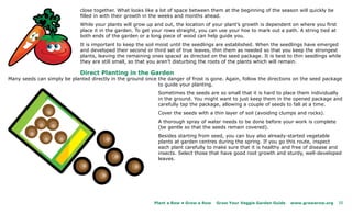 close together. What looks like a lot of space between them at the beginning of the season will quickly be
                             filled in with their growth in the weeks and months ahead.
                             While your plants will grow up and out, the location of your plant’s growth is dependent on where you first
                             place it in the garden. To get your rows straight, you can use your hoe to mark out a path. A string tied at
                             both ends of the garden or a long piece of wood can help guide you.
                             It is important to keep the soil moist until the seedlings are established. When the seedlings have emerged
                             and developed their second or third set of true leaves, thin them as needed so that you keep the strongest
                             plants, leaving the remaining ones spaced as directed on the seed package. It is best to thin seedlings while
                             they are still small, so that you aren’t disturbing the roots of the plants which will remain.

                             Direct Planting in the Garden
Many seeds can simply be planted directly in the ground once the danger of frost is gone. Again, follow the directions on the seed package
                                                             to guide your planting.
                                                              Sometimes the seeds are so small that it is hard to place them individually
                                                              in the ground. You might want to just keep them in the opened package and
                                                              carefully tap the package, allowing a couple of seeds to fall at a time.
                                                              Cover the seeds with a thin layer of soil (avoiding clumps and rocks).
                                                              A thorough spray of water needs to be done before your work is complete
                                                              (be gentle so that the seeds remain covered).
                                                              Besides starting from seed, you can buy also already-started vegetable
                                                              plants at garden centres during the spring. If you go this route, inspect
                                                              each plant carefully to make sure that it is healthy and free of disease and
                                                              insects. Select those that have good root growth and sturdy, well-developed
                                                              leaves.




                                                            Plant a Row • Grow a Row   Grow Your Veggie Garden Guide   www.growarow.org     11
 