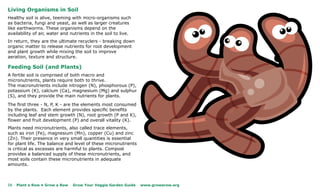 Living Organisms in Soil
Healthy soil is alive, teeming with micro-organisms such
as bacteria, fungi and yeast, as well as larger creatures
like earthworms. These organisms depend on the
availability of air, water and nutrients in the soil to live.
In return, they are the ultimate recyclers - breaking down
organic matter to release nutrients for root development
and plant growth while mixing the soil to improve
aeration, texture and structure.

Feeding Soil (and Plants)
A fertile soil is comprised of both macro and
micronutrients, plants require both to thrive.
The macronutrients include nitrogen (N), phosphorous (P),
potassium (K), calcium (Ca), magnesium (Mg) and sulphur
(S), and they provide the main nutrients for plants.

The first three - N, P, K - are the elements most consumed
by the plants. Each element provides specific benefits
including leaf and stem growth (N), root growth (P and K),
flower and fruit development (P) and overall vitality (K).
Plants need micronutrients, also called trace elements,
such as iron (Fe), magnesium (Mn), copper (Cu) and zinc
(Zn). Their presence in very small quantities is essential
for plant life. The balance and level of these micronutrients
is critical as excesses are harmful to plants. Compost
provides a balanced supply of these micronutrients, and
most soils contain these micronutrients in adequate
amounts.



16   Plant a Row • Grow a Row   Grow Your Veggie Garden Guide   www.growarow.org
 