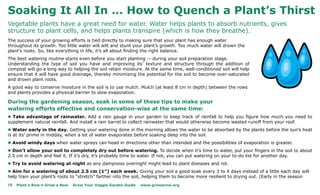 Soaking It All In … How to Quench a Plant’s Thirst
Vegetable plants have a great need for water. Water helps plants to absorb nutrients, gives
structure to plant cells, and helps plants transpire (which is how they breathe).
The success of your growing efforts is tied directly to making sure that your plant has enough water
throughout its growth. Too little water will wilt and stunt your plant’s growth. Too much water will drown the
plant’s roots. So, like everything in life, it’s all about finding the right balance.
The best watering routine starts even before you start planting -- during your soil preparation stage.
Understanding the type of soil you have and improving its’ texture and structure through the addition of
compost will go a long way to helping the soil retain moisture. At the same time, well-conditioned soil will help
ensure that it will have good drainage, thereby minimizing the potential for the soil to become over-saturated
and drown plant roots.
A good way to conserve moisture in the soil is to use mulch. Mulch (at least 8 cm in depth) between the rows
and plants provides a physical barrier to slow evaporation.

During the gardening season, soak in some of these tips to make your
watering efforts effective and conservation-wise at the same time:
l Take advantage of rainwater. Add a rain gauge in your garden to keep track of rainfall to help you figure how much you need to
supplement natural rainfall. And install a rain barrel to collect rainwater that would otherwise become wasted runoff from your roof.
l Water early in the day. Getting your watering done in the morning allows the water to be absorbed by the plants before the sun’s heat
is at its’ prime in midday, when a lot of water evaporates before soaking deep into the soil.
l Avoid windy days when water sprays can head in directions other than intended and the possibilities of evaporation is greater.
l Don’t allow your soil to completely dry out before watering. To decide when it’s time to water, put your fingers in the soil to about
2.5 cm in depth and feel it. If it’s dry, it’s probably time to water. If not, you can put watering on your to-do list for another day.
l Try to avoid watering at night as any dampness overnight might lead to plant diseases and rot.
l Aim for a watering of about 2.5 cm (1”) each week. Giving your soil a good soak every 3 to 4 days instead of a little each day will
help train your plant’s roots to “stretch” farther into the soil, helping them to become more resilient to drying out. (Early in the season
18   Plant a Row • Grow a Row   Grow Your Veggie Garden Guide   www.growarow.org
 