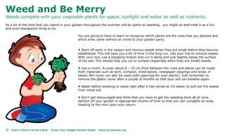 Weed and Be Merry
Weeds compete with your vegetable plants for space, sunlight and water as well as nutrients.
As a lot of the time that you spend in your garden throughout the summer will be spent on weeding, you might as well treat it as a fun
and even therapeutic thing to do.

                                                 You are going to have to learn to recognize which plants are the ones that you planted and
                                                 which ones came without an invite to your garden party.


                                                 l Start off early in the season and remove weeds when they are small before they become
                                                 established. This will save you a lot of time in the long run. Use your hoe to remove weeds.
                                                 With your hoe, use a chopping motion and run it along and just slightly below the surface
                                                 of the soil. This should help you cut or surface (especially when they are small) weeds.

                                                 l Use a mulch. A cover about 8 – 10 cm thick between the rows and plants can be made
                                                 from materials such as bark, compost, dried leaves, newspaper clippings and straw. A
                                                 plastic film cover can also be used (with openings for your plants). Just remember to
                                                 remove the plastic cover after a couple of months so that your soil can breathe again.

                                                 l Water before weeding or weed right after it has rained as it’s easier to pull out the weeds
                                                 from moist soil.

                                                 l Don’t get discouraged and think that you have to get the weeding done all at once.
                                                 Section off your garden in appropriate chunks of time so that you can complete an area,
                                                 heading to the next upon your return.




20   Plant a Row • Grow a Row   Grow Your Veggie Garden Guide   www.growarow.org
 