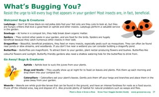 What’s Bugging You?
Resist the urge to kill every bug that appears in your garden! Most insects are, in fact, beneficial.
Welcome! Bugs & Creatures
Ladybugs – Don’t let those black-on-red polka dots fool you! Not only are they cute to look at, but they
are hungry critters that love a good feed on aphids and other insects. Ladybugs perform a valuable service
in the garden.
Sowbugs – At home in a compost bin, they help break down organic matter.
Spiders – They control other pests in your garden, and are food for the birds. Spiders are hugely
beneficial because they catch numerous other insects in their web.
Dragonflies – Beautiful, beneficial predators, they feed on many insects, especially pests such as mosquitoes. They can often be found
near ponds or slow streams, and woodlands. If you don’t live near a wetland you can consider building a dragonfly pond.
Butterflies – Butterflies are magnificent. To attract them to your garden, plant nectar-producing flowers and bushes. Butterflies like
colourful flowers and sunlight. Butterfly-friendly gardens also need a shallow watering hole for the butterflies to drink from.

Go Away! Bugs & Creatures

                  Aphids – Aphids love to suck the juices from your plants.

                  Slugs and Snails – They usually show up at night for to feast on leaves and plants. Pick them up each morning and
                  drop them into your compost bin.

                  Caterpillars – Caterpillars eat your plant’s leaves. Gently pick them off your twigs and branches and place them in the
                  grass away from your garden.

Weevils – Weevils are white grub-like larvae that can be found in the ground, and have an intense fondness for roots as a food source.
Prune off the infested area, bag and dispose of it. Also provide plenty of habitat for natural predators such as wasps and flies.
                                                              Plant a Row • Grow a Row   Grow Your Veggie Garden Guide   www.growarow.org   25
 