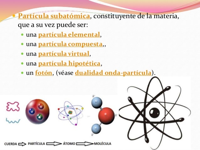 Paricula