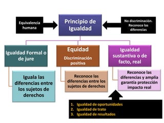 Principio de
Igualdad
Igualdad Formal o
de jure
Iguala las
diferencias entre
los sujetos de
derechos
Equidad
Discriminación
positiva
Reconoce las
diferencias entre los
sujetos de derechos
Igualdad
sustantiva o de
facto, real
Reconoce las
diferencias y amplía
garantía protección
impacto real
Equivalencia
humana
No discriminación.
Reconoce las
diferencias
1. Igualdad de oportunidades
2. Igualdad de trato
3. Igualdad de resultados
 