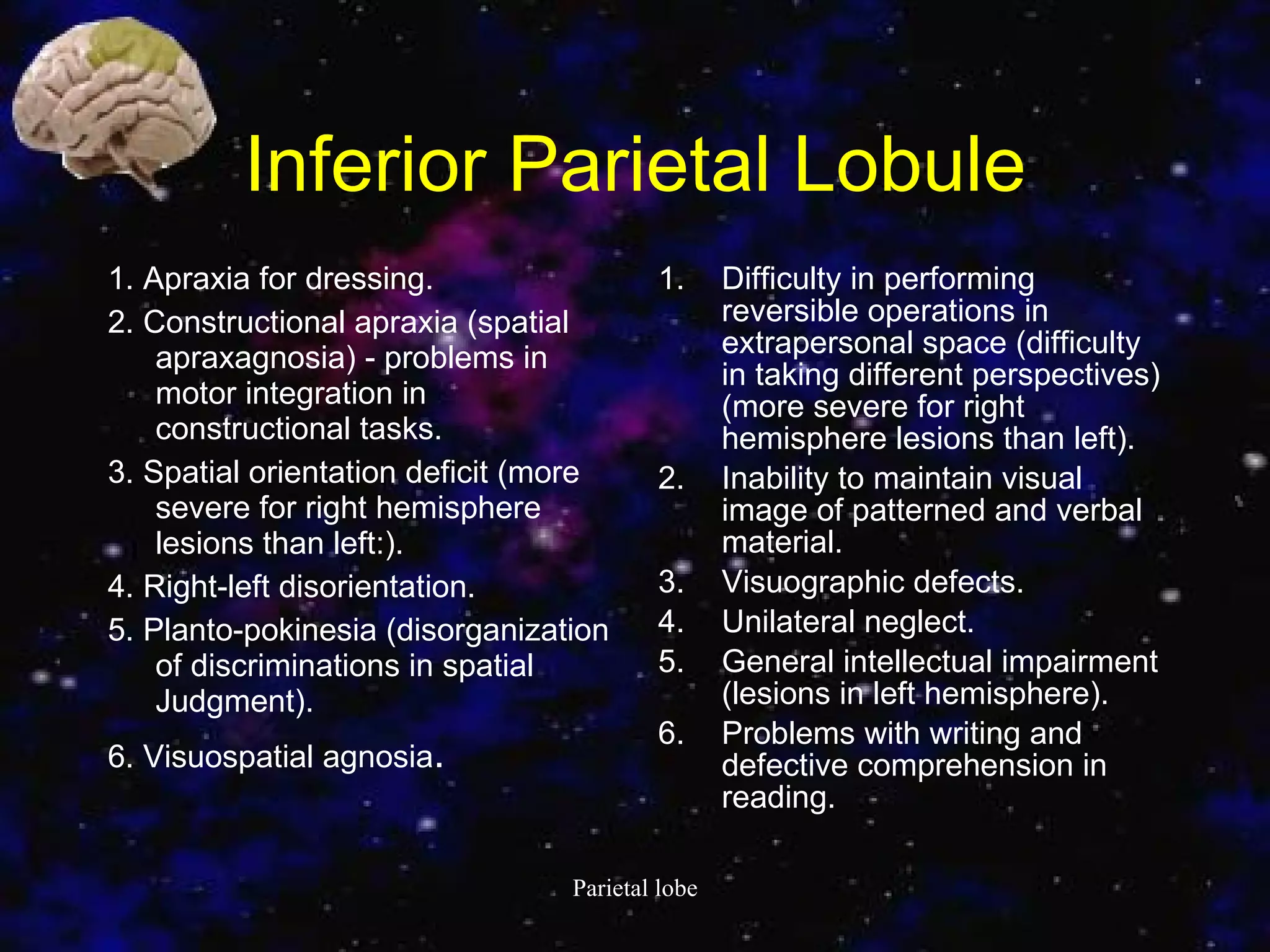 Inferior Parietal Lobule 1. Apraxia for dressing. 2. Constructional apraxia (spatial apraxagnosia) - problems in motor integration in constructional tasks. 3. Spatial orientation deficit (more severe for right hemisphere lesions than left:). 4. Right-left disorientation. 5. Planto-pokinesia (disorganization of discriminations in spatial Judgment). 6. Visuospatial agnosia . Difficulty in performing reversible operations in extrapersonal space (difficulty in taking different perspectives) (more severe for right hemisphere lesions than left). Inability to maintain visual image of patterned and verbal material. Visuographic defects. Unilateral neglect. General intellectual impairment (lesions in left hemisphere). Problems with writing and defective comprehension in reading. 