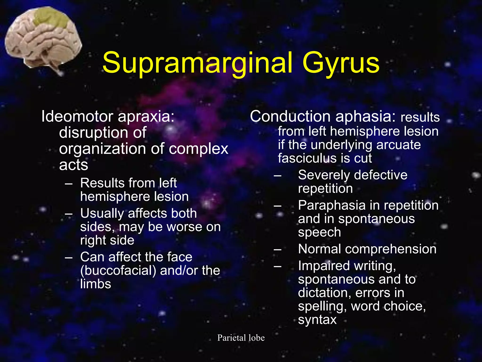 Supramarginal Gyrus Ideomotor apraxia: disruption of organization of complex acts  Results from left hemisphere lesion  Usually affects both sides, may be worse on right side  Can affect the face (buccofacial) and/or the limbs  Conduction aphasia:  results from left hemisphere lesion if the underlying arcuate fasciculus is cut  Severely defective repetition  Paraphasia in repetition and in spontaneous speech  Normal comprehension  Impaired writing, spontaneous and to dictation, errors in spelling, word choice, syntax  