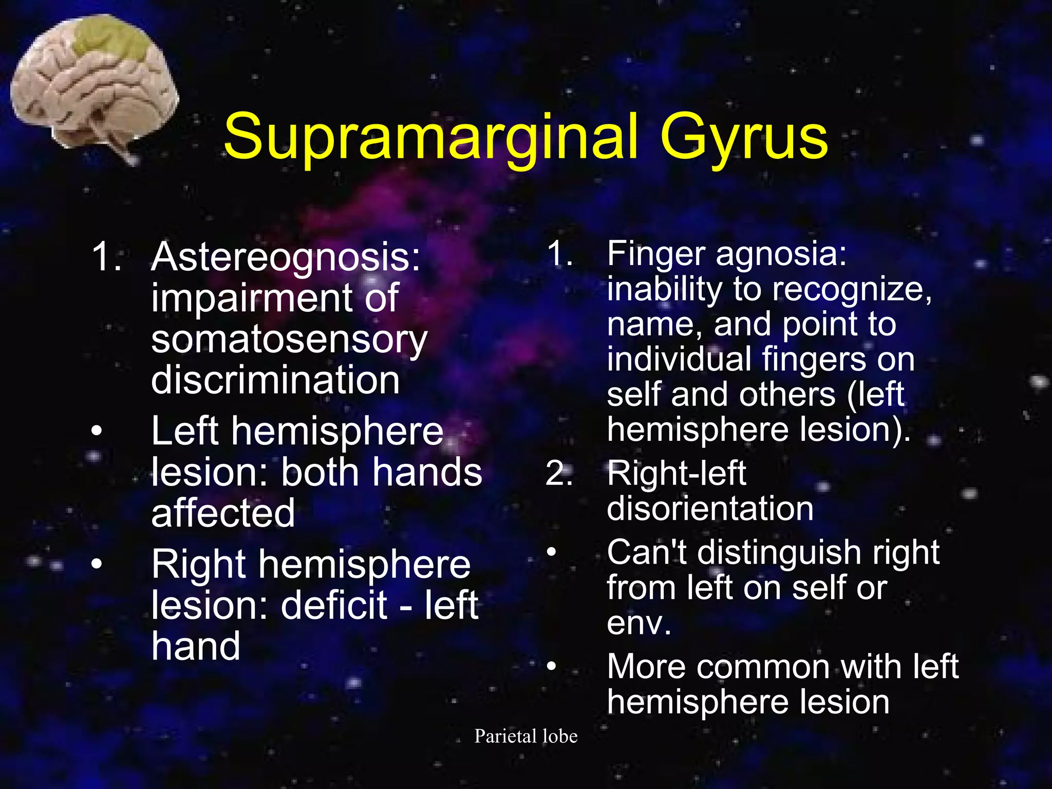 Supramarginal Gyrus Astereognosis: impairment of somatosensory discrimination  Left hemisphere lesion: both hands affected  Right hemisphere lesion: deficit - left hand  Finger agnosia: inability to recognize, name, and point to individual fingers on self and others (left hemisphere lesion).  Right-left disorientation  Can't distinguish right from left on self or env.  More common with left hemisphere lesion  