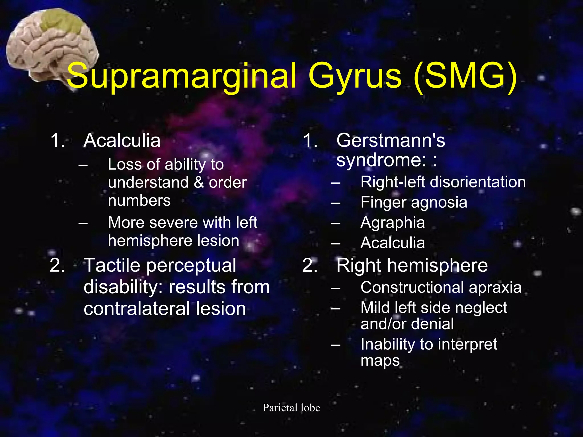 Supramarginal Gyrus  (SMG) Acalculia  Loss of ability to understand & order numbers  More severe with left hemisphere lesion  Tactile perceptual disability: results from contralateral lesion  Gerstmann's syndrome: :  Right-left disorientation  Finger agnosia  Agraphia  Acalculia  R ight hemisphere C onstructional apraxia  Mild left side neglect and/or denial  Inability to interpret maps  