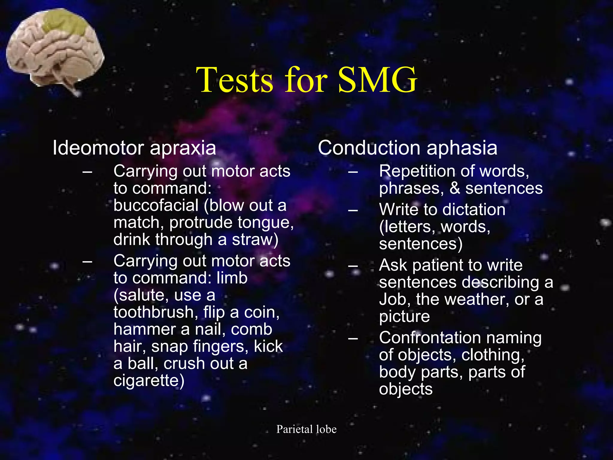 Tests for SMG Ideomotor apraxia  Carrying out motor acts to command: buccofacial (blow out a match, protrude tongue, drink through a straw)  Carrying out motor acts to command: limb (salute, use a toothbrush, flip a coin, hammer a nail, comb hair, snap fingers, kick a ball, crush out a cigarette)  Conduction aphasia  Repetition of words, phrases, & sentences  Write to dictation (letters, words, sentences)  Ask patient to write sentences describing a Job, the weather, or a picture  Confrontation naming of objects, clothing, body parts, parts of objects 