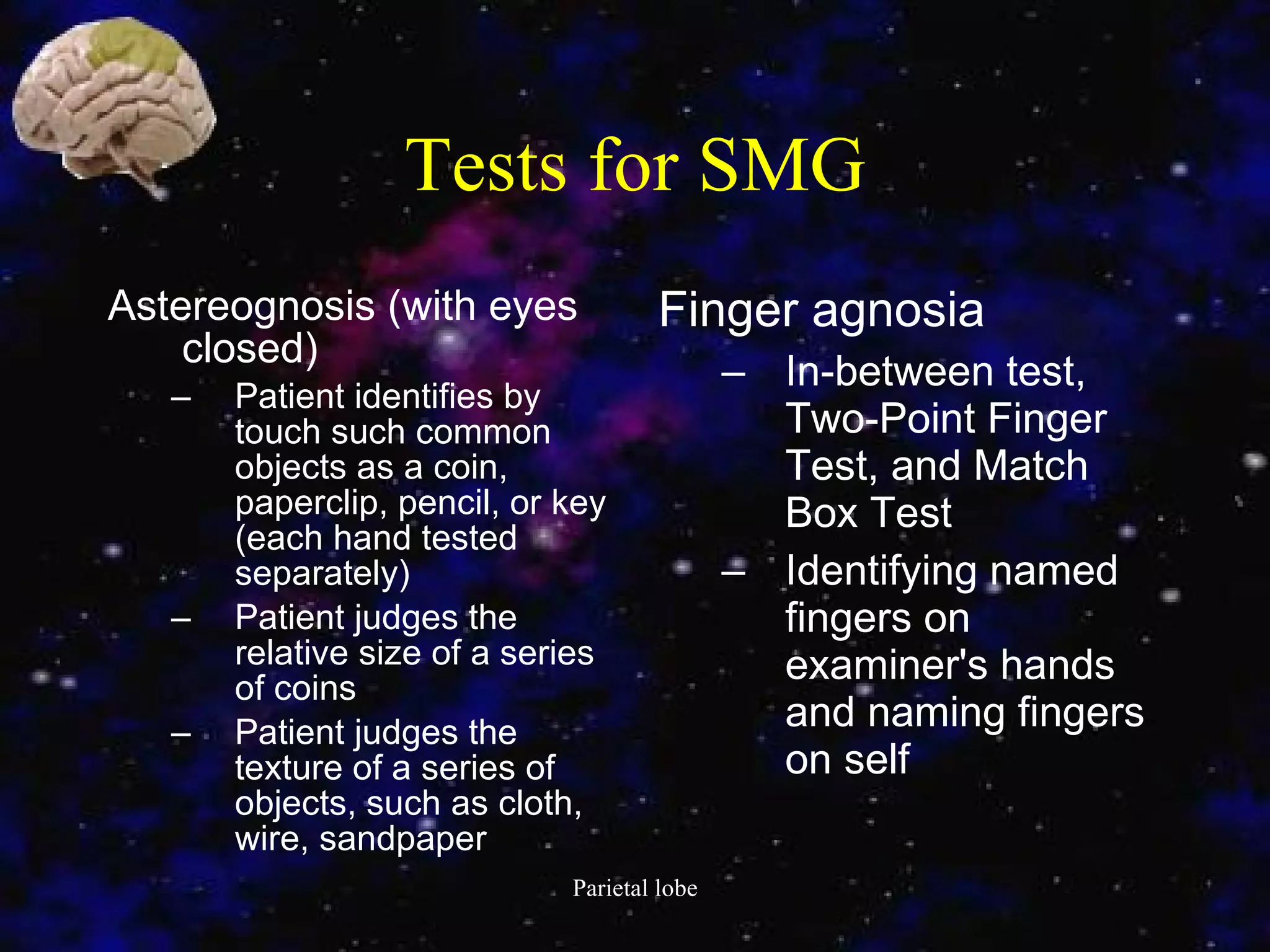 Tests for SMG Astereognosis (with eyes closed)  Patient identifies by touch such common objects as a coin, paperclip, pencil, or key (each hand tested separately)  Patient judges the relative size of a series of coins  Patient judges the texture of a series of objects, such as cloth, wire, sandpaper Finger agnosia  In-between test, Two-Point Finger Test, and Match Box Test  Identifying named fingers on examiner's hands and naming fingers on self  