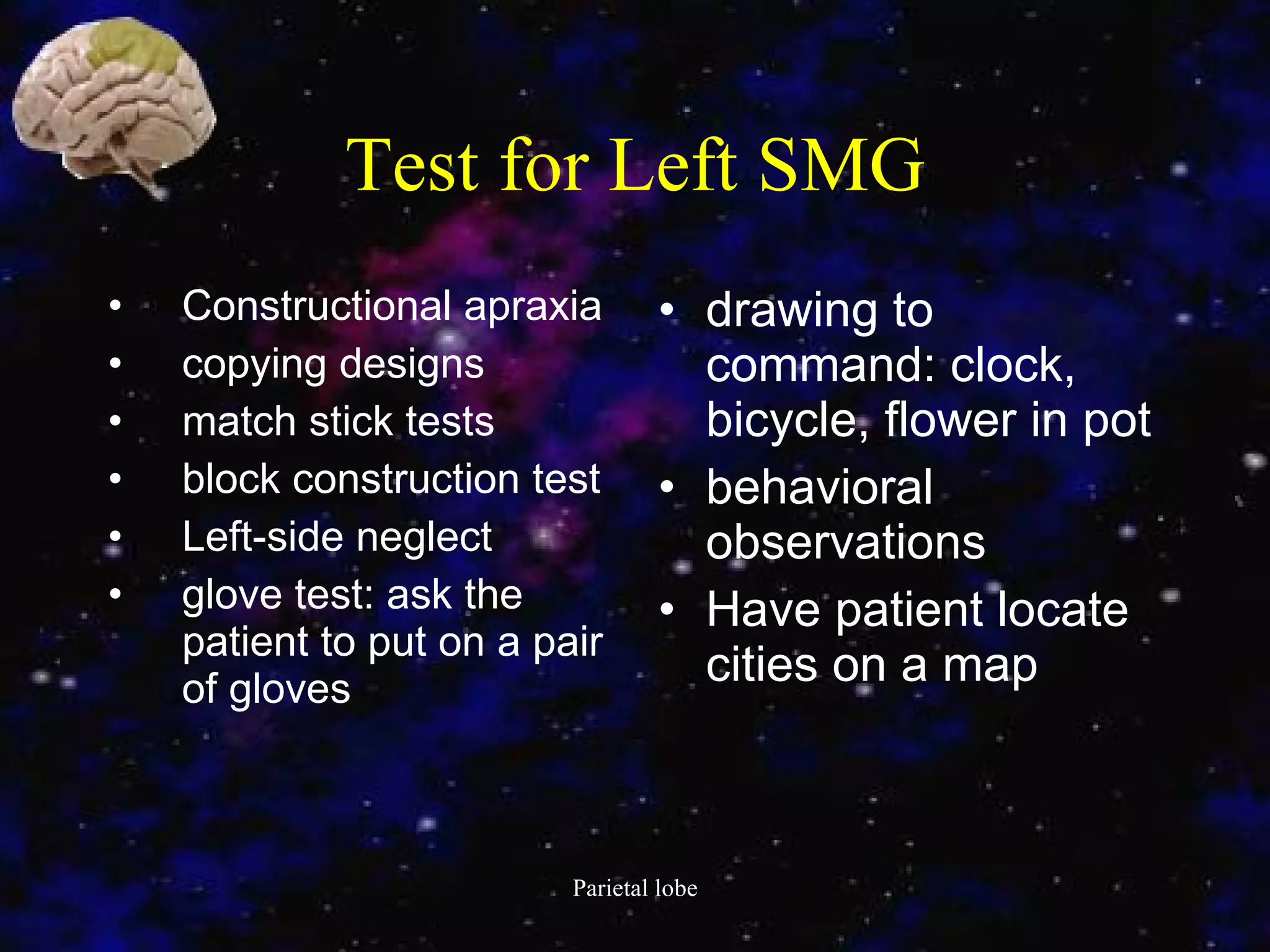 Test for Left SMG Constructional apraxia  copying designs  match stick tests  block construction test  Left-side neglect  glove test: ask the patient to put on a pair of gloves  drawing to command: clock, bicycle, flower in pot  behavioral observations  Have patient locate cities on a map  