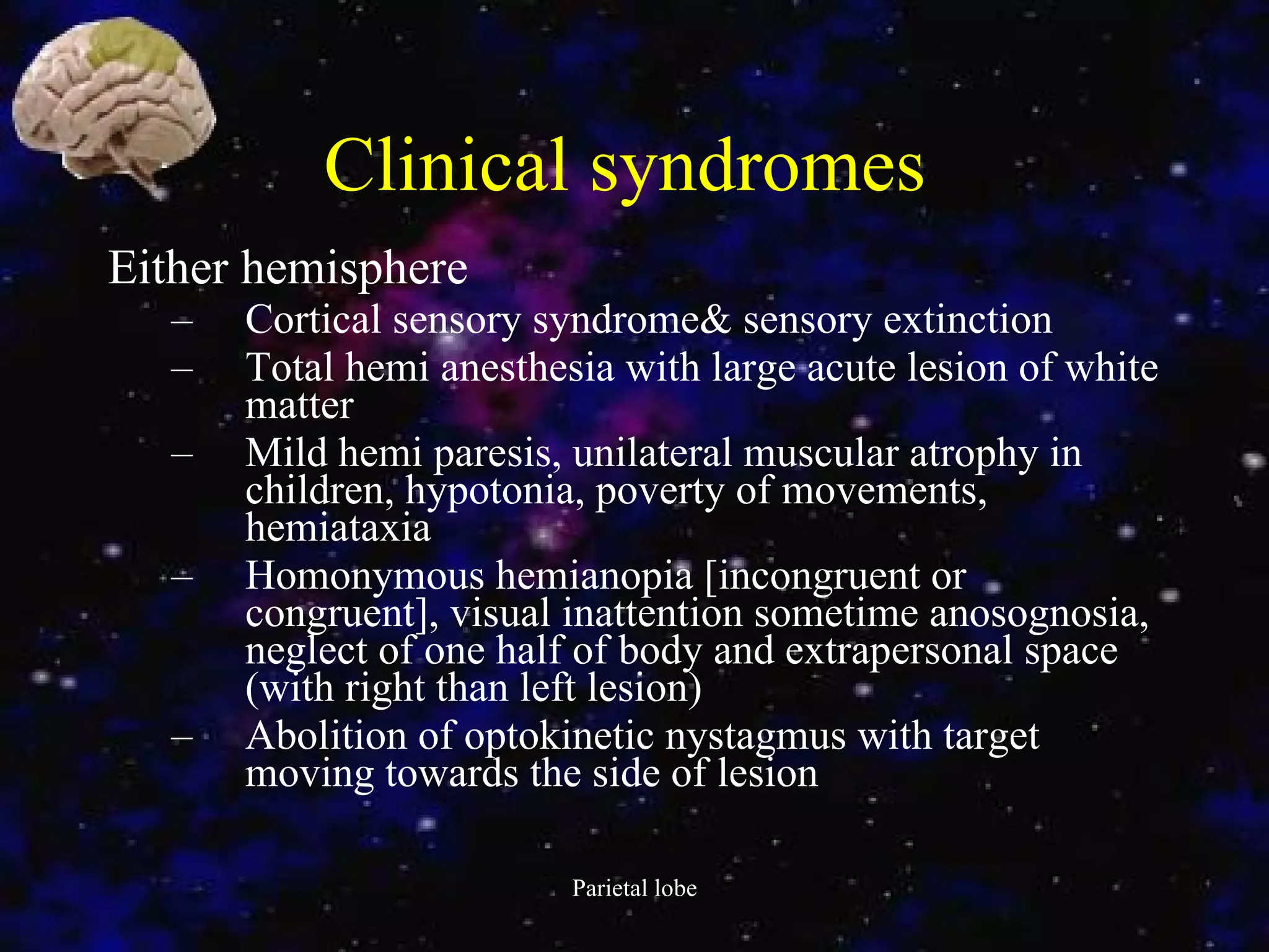 Clinical syndromes   Either hemisphere Cortical sensory syndrome& sensory extinction  Total hemi anesthesia with large acute lesion of white matter Mild hemi paresis, unilateral muscular atrophy in children, hypotonia, poverty of movements, hemiataxia Homonymous hemianopia [incongruent or congruent], visual inattention sometime anosognosia, neglect of one half of body and extrapersonal space (with right than left lesion) Abolition of optokinetic nystagmus  with target moving towards the side of lesion 