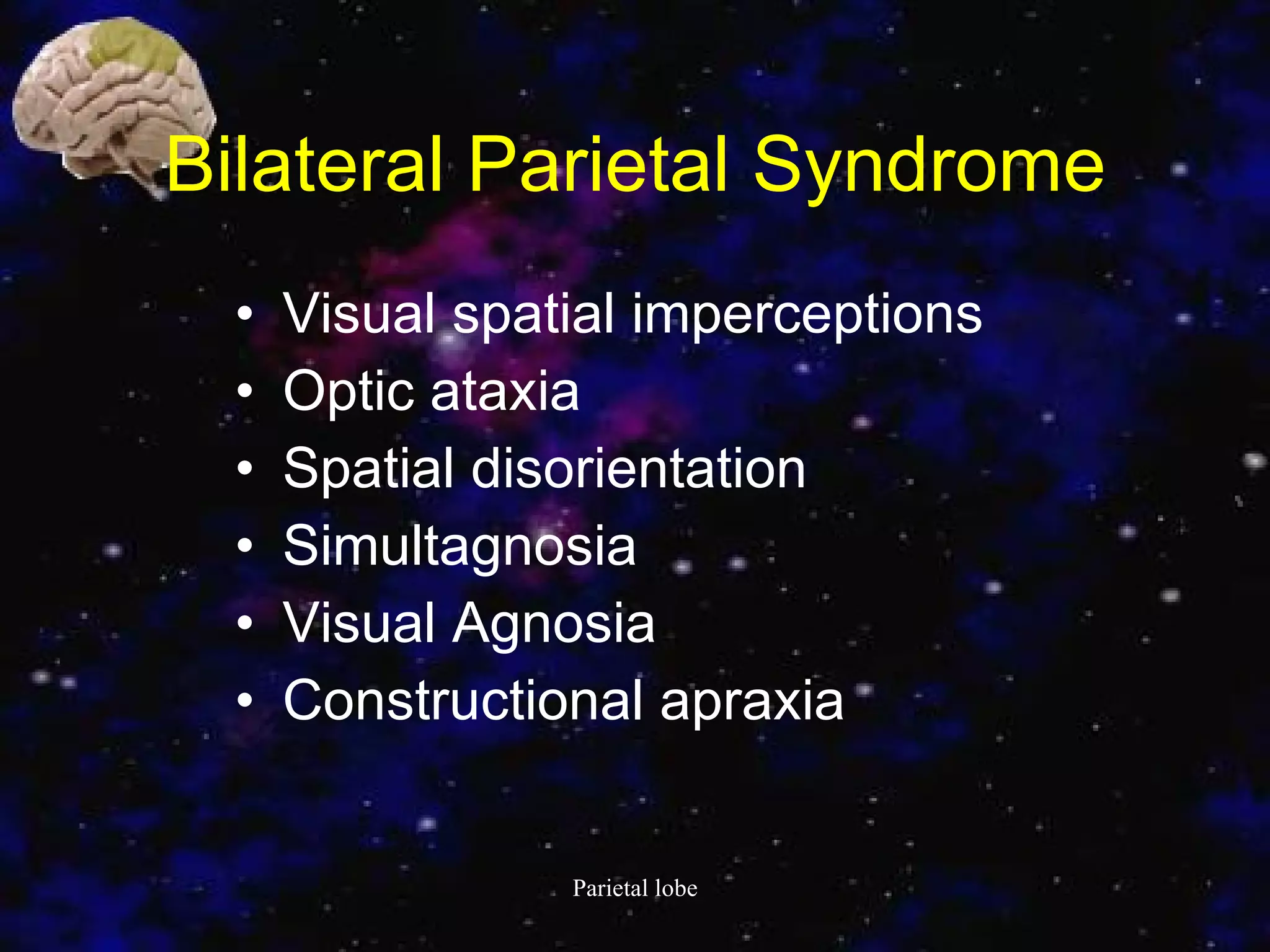 Bilateral Parietal Syndrome Visual spatial imperceptions Optic ataxia Spatial disorientation Simultagnosia Visual Agnosia Constructional apraxia 