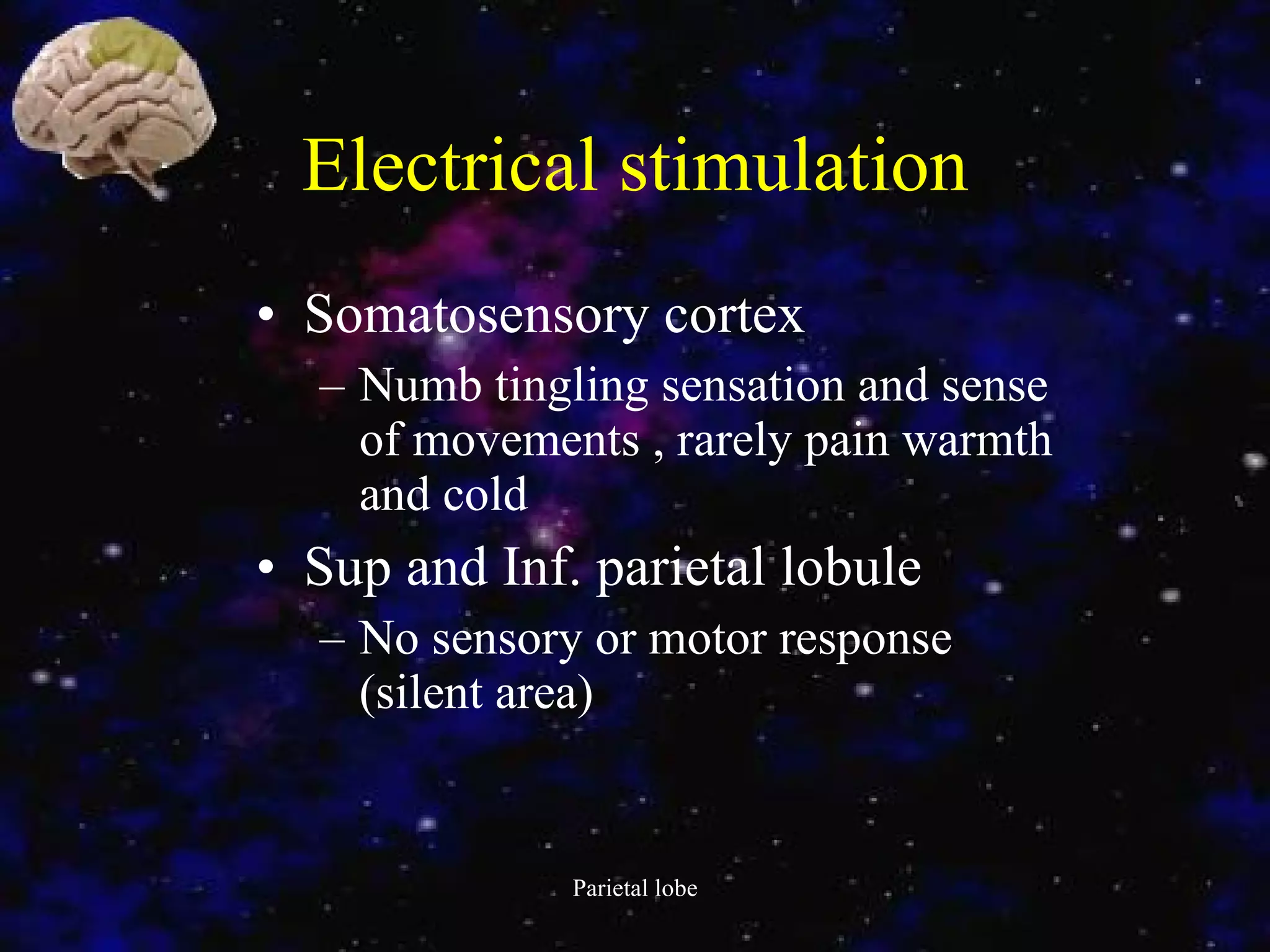 Electrical stimulation Somatosensory cortex Numb tingling sensation and sense of movements , rarely pain warmth and cold Sup and Inf. parietal lobule No sensory or motor response (silent area) 