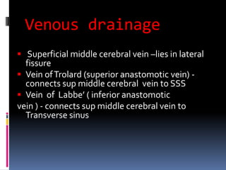 Venous drainage Superficial middle cerebral vein –lies in lateral fissure Vein of Trolard (superior anastomotic vein) - connects sup middle cerebral  vein to SSSVein  of  Labbe’ ( inferior anastomotic vein ) - connects sup middle cerebral vein to Transverse sinus