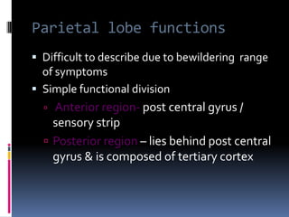 Parietal lobe functionsDifficult to describe due to bewildering  range of symptoms  Simple functional division Anterior region- post central gyrus / sensory stripPosterior region – lies behind post central gyrus & is composed of tertiary cortex
