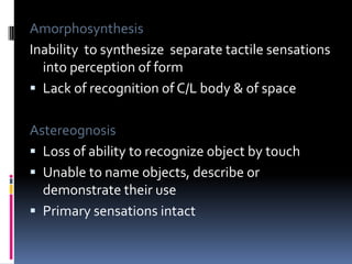 TestsPressure sensitivityTwo point discriminationPoint localisation Position senseTactual object recognition