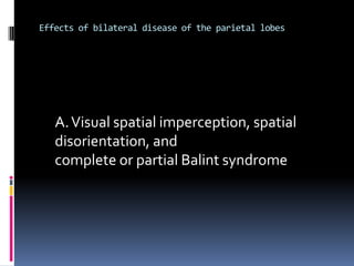 Effects of unilateral disease of the dominant (left) parietallobeA. Disorders of language (especially alexia)B. Gerstmann syndrome (dysgraphia, dyscalculia, finger agnosia, right-left confusion)C. Tactile agnosia (bimanual astereognosis)D. Bilateral ideomotor and ideational apraxia