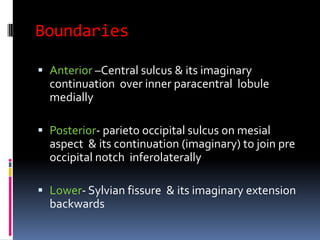 BoundariesAnterior –Central sulcus & its imaginary  continuation  over inner paracentral  lobule medially Posterior- parieto occipital sulcus on mesial aspect  & its continuation (imaginary) to join pre occipital notch  inferolaterallyLower- Sylvian fissure  & its imaginary extension backwards