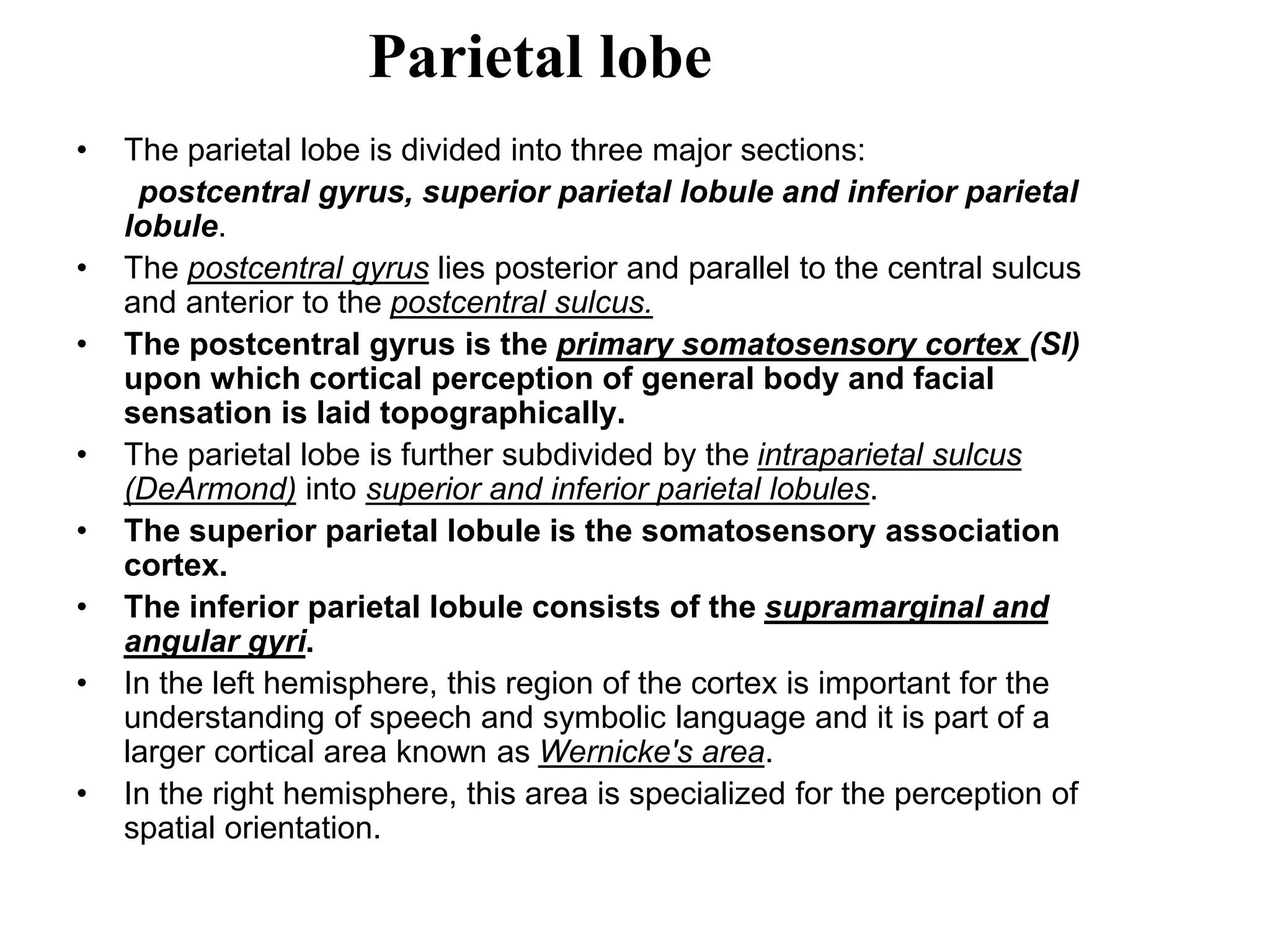 Parietal lobe
• The parietal lobe is divided into three major sections:
postcentral gyrus, superior parietal lobule and inferior parietal
lobule.
• The postcentral gyrus lies posterior and parallel to the central sulcus
and anterior to the postcentral sulcus.
• The postcentral gyrus is the primary somatosensory cortex (SI)
upon which cortical perception of general body and facial
sensation is laid topographically.
• The parietal lobe is further subdivided by the intraparietal sulcus
(DeArmond) into superior and inferior parietal lobules.
• The superior parietal lobule is the somatosensory association
cortex.
• The inferior parietal lobule consists of the supramarginal and
angular gyri.
• In the left hemisphere, this region of the cortex is important for the
understanding of speech and symbolic language and it is part of a
larger cortical area known as Wernicke's area.
• In the right hemisphere, this area is specialized for the perception of
spatial orientation.
 