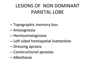 Parietal Lobe Anatomy 16 jan 2019 Ashish | PPTX