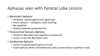 Aphasias seen with Parietal Lobe Lesions
• Wernicke’s Aphasia
• Temporal, supramarginal and angular gyri
• Fluent aphasia – neologism, lacks meaning
• No repetition
• Greatly impaired comprehension
• Transcortical Sensory Aphasia
• Similar to Wernicke’s but repetition is preserved
• Lesion is near the Wernicke’s area
• Conduction Aphasia
• Lesion in supramarginal gyrus or insula
• Fluent aphasia where comprehension and is preserved but repetition is lost
 