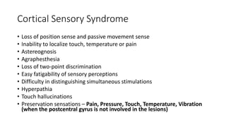 Cortical Sensory Syndrome
• Loss of position sense and passive movement sense
• Inability to localize touch, temperature or pain
• Astereognosis
• Agraphesthesia
• Loss of two-point discrimination
• Easy fatigability of sensory perceptions
• Difficulty in distinguishing simultaneous stimulations
• Hyperpathia
• Touch hallucinations
• Preservation sensations – Pain, Pressure, Touch, Temperature, Vibration
(when the postcentral gyrus is not involved in the lesions)
 