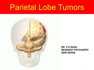 Parietal Lobe Tumors
DR V K SAHU
RESIDENT PSYCHIATRY
INHS ASVINI
1
 