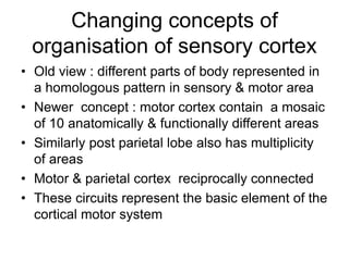 Changing concepts of
organisation of sensory cortex
• Old view : different parts of body represented in
a homologous pattern in sensory & motor area
• Newer concept : motor cortex contain a mosaic
of 10 anatomically & functionally different areas
• Similarly post parietal lobe also has multiplicity
of areas
• Motor & parietal cortex reciprocally connected
• These circuits represent the basic element of the
cortical motor system
 