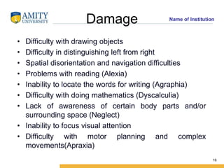 Parietal _ Occipital Lobe.ppt