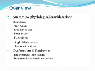 Over view 
 Anatomic& physiological considerations 
Boundaries 
Sulci &Gyri 
Brodmanns area 
Blood supply 
 Functions 
Rightlobe functions 
left lobe functions 
 Dysfunctions & Syndromes 
Either parietal lobe lesions 
Dominant &non dominant lesions 
 