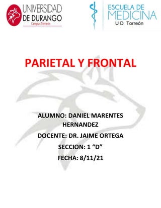PARIETAL Y FRONTAL
ALUMNO: DANIEL MARENTES
HERNANDEZ
DOCENTE: DR. JAIME ORTEGA
SECCION: 1 “D”
FECHA: 8/11/21
 