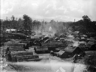 In 1881 over 1,500 troops were sent to destroy the Taranaki village of Parihaka. Parihaka was the
centre of a peaceful mov...