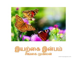 www.muelangovan.com
 