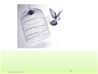 -www.muelangovan.com
 