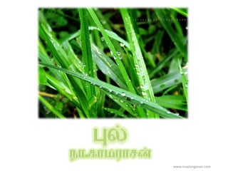 www.muelangovan.com
 