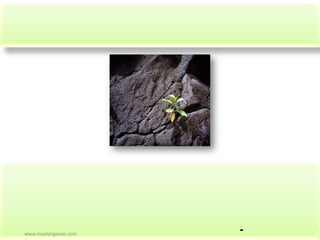 -www.muelangovan.com
 