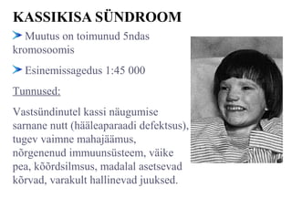 KASSIKISA SÜNDROOM
Muutus on toimunud 5ndas
kromosoomis
Esinemissagedus 1:45 000
Tunnused:
Vastsündinutel kassi näugumise
sarnane nutt (hääleaparaadi defektsus),
tugev vaimne mahajäämus,
nõrgenenud immuunsüsteem, väike
pea, kõõrdsilmsus, madalal asetsevad
kõrvad, varakult hallinevad juuksed.
 