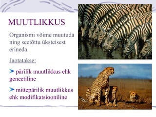 MUUTLIKKUS
Organismi võime muutuda
ning seetõttu üksteisest
erineda.
Jaotatakse:
pärilik muutlikkus ehk
geneetiline
mittepärilik muutlikkus
ehk modifikatsiooniline
 
