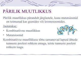 PÄRILIK MUUTLIKKUS
Pärilik muutlikkus pärandub järglastele, kuna mutatsioonid
on toimunud kas geenides või kromosoomides.
Jaotatakse:
• Kombinatiivne muutlikkus
• Mutatsioonid
Kombinatiivse muutlikkuse tõttu sarnanevad lapsed ühtede
tunnuste poolest rohkem emaga, teiste tunnuste poolest
rohkem isaga.
 