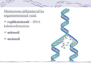 Mutatsioone põhjustavad ka
organismisisesed vead:
replikatsioonil – DNA
kahekordistumine
mitoosil
meioosil
 